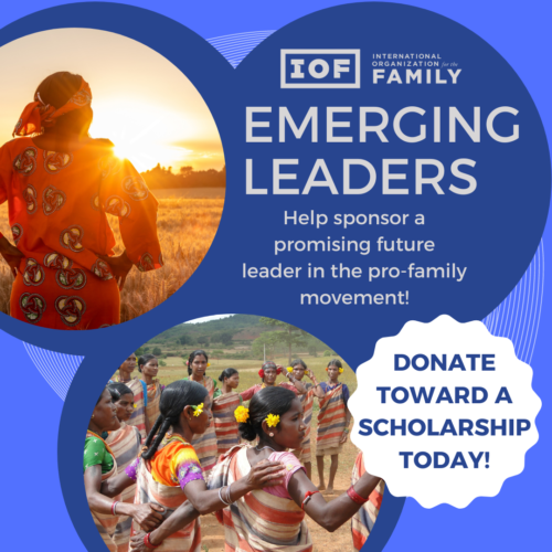 emerging leaders scholarship